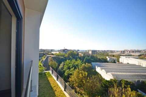 5 habitaciones Villa en Lien Chieu, Vietnam No. 21326 4