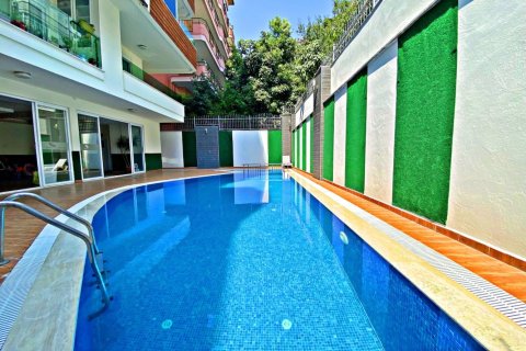 1 bedroom Apartment in Chau Lang, Vietnam No. 11994 18