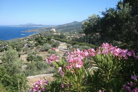 Земельный участок в Закинтос, Греция №24556 1