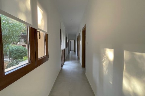 5 bedrooms House in Paphos, Cyprus No. 37375 6