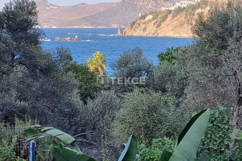 4 bedrooms Villa in Phi Dien, Vietnam No. 71416 2