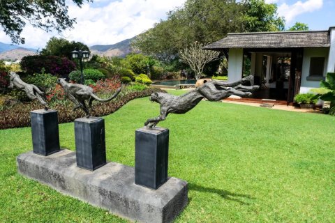 5 bedrooms Villa in Tamarin, Mauritius No. 53443 11