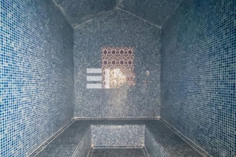 2 bedrooms Apartment in Bo Ha, Vietnam No. 12980 13