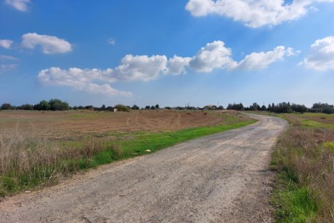 15973m² Land in Avgorou, Cyprus No. 28047 1