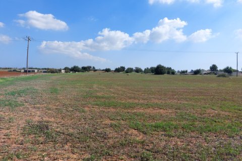 15973m² Land in Avgorou, Cyprus No. 28047 4