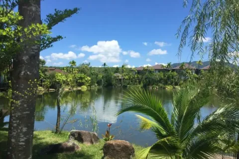 Вилла с 4 спальнями в Пхукет, Таиланд №88438 7