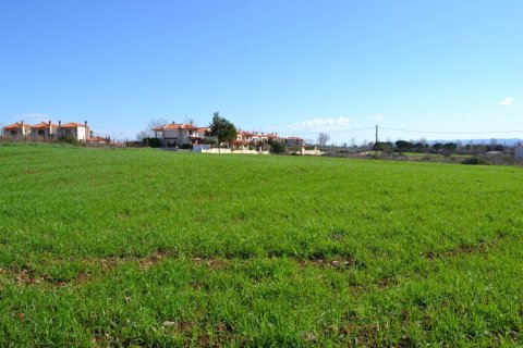 6700m² Land in Chalkidiki, Greece No. 58300 4