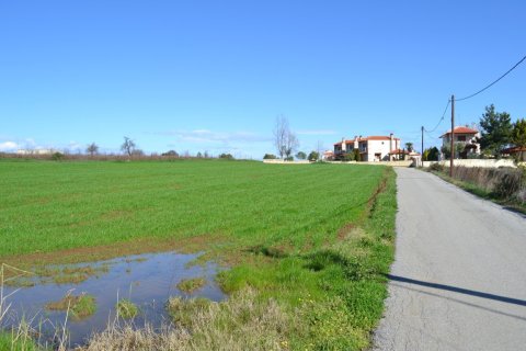 6700m² Land in Chalkidiki, Greece No. 58300 2