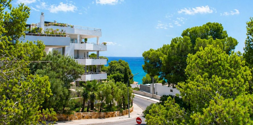 Land on the Mallorca, Spain No. 129114