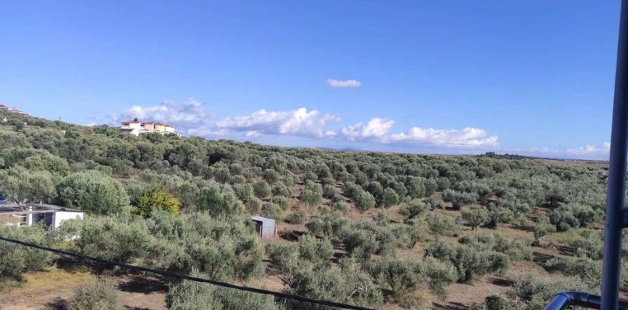 3 bedrooms Apartment in Chalkidiki, Greece No. 54945