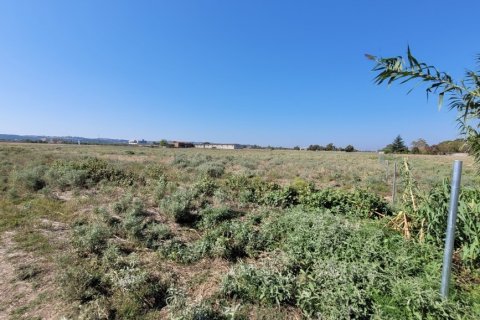 9000m² Land in Thermi, Greece No. 109161 4