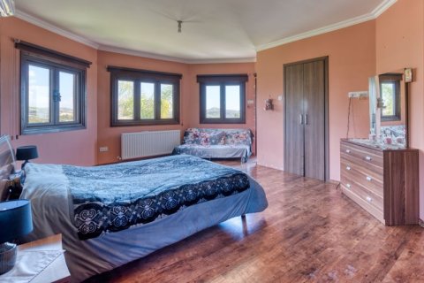 4 bedrooms Villa in Anglisides, Cyprus No. 36688 13