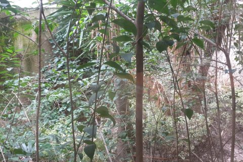 918m² Building in Athens, Greece No. 57592 10