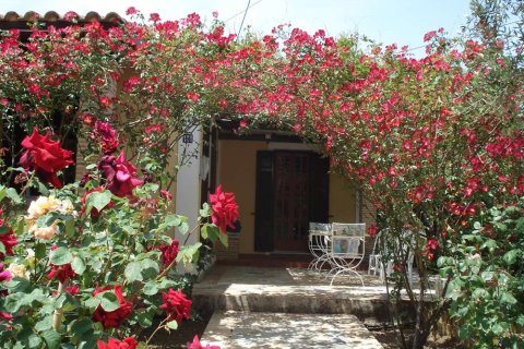 2 bedrooms House in Zakynthos, Greece No. 24639 23