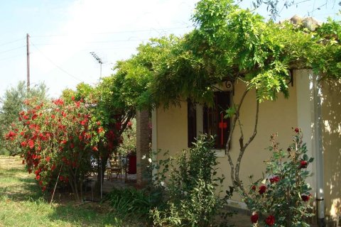 2 bedrooms House in Zakynthos, Greece No. 24639 22