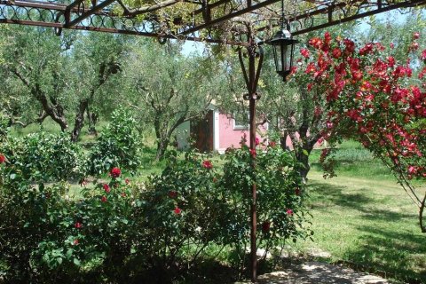 2 bedrooms House in Zakynthos, Greece No. 24639 24