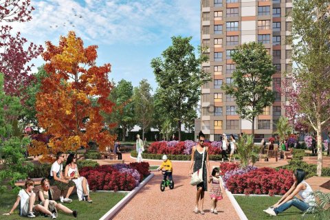 Квартира с 3 спальнями в Phu An, Вьетнам №17126 19