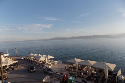 Отель, гостиница с 33 комнатами в Эвбея, Греция №58096 3