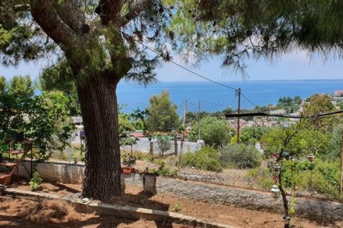 4 bedrooms Maisonette in Polygyros, Greece No. 109080