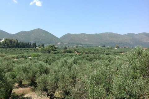 4 bedrooms House in Zakynthos, Greece No. 69604 14