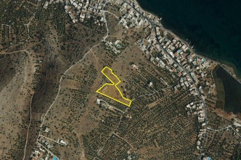 10397m² Land in Lasithi, Greece No. 55008 8