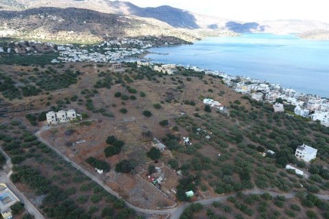 10397m² Land in Lasithi, Greece No. 55008 3