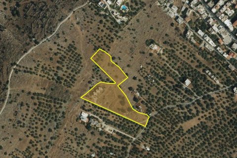 10397m² Land in Lasithi, Greece No. 55008 7