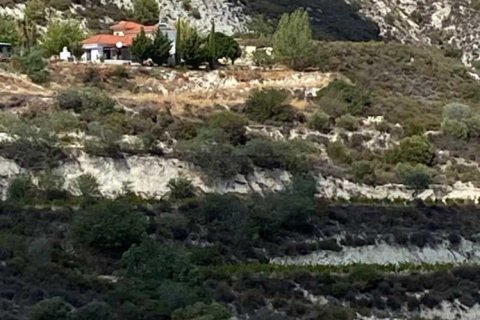 4 dormitorios House en Laneia, Cyprus No. 78985 12