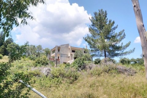 5 chambres House à Corfu, Greece No. 55949 12