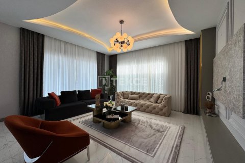 4 dormitorios Villa en Chau Lang, Vietnam No. 11581 16