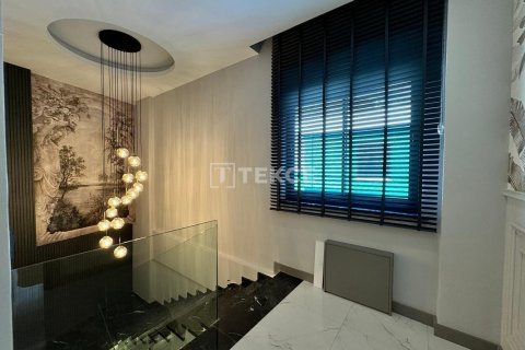 4 dormitorios Villa en Chau Lang, Vietnam No. 11581 12