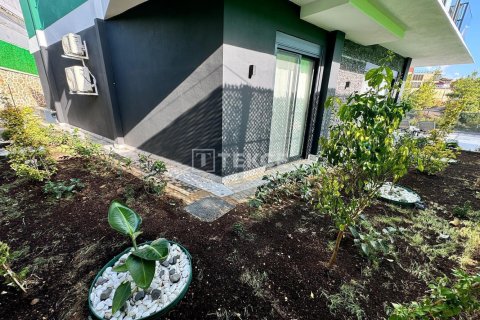 4 dormitorios Villa en Chau Lang, Vietnam No. 11581 8