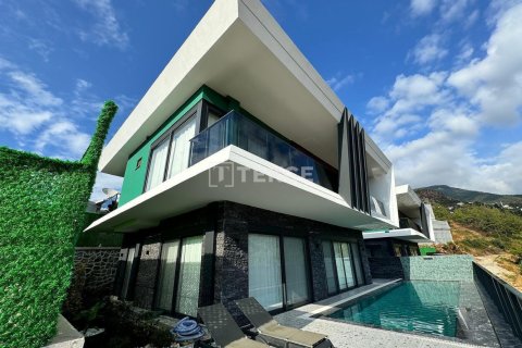 4 dormitorios Villa en Chau Lang, Vietnam No. 11581 15