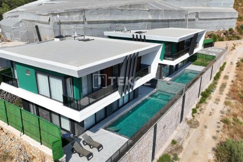 4 dormitorios Villa en Chau Lang, Vietnam No. 11581 25