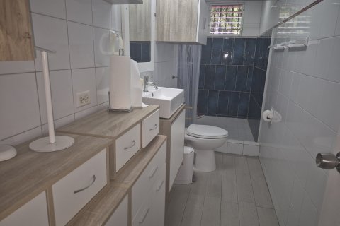 Дом с 3 спальнями в Панама №125848 15