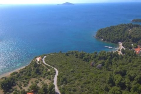 23000m² Land in Chalkidiki, Greece No. 57618 5