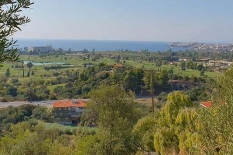 23000m² Land in Chalkidiki, Greece No. 57618 10