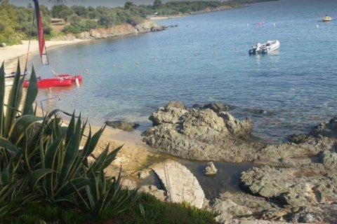 23000m² Land in Chalkidiki, Greece No. 57618 2