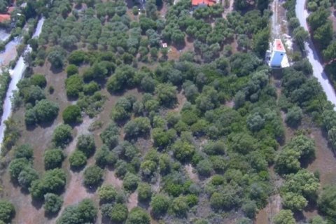 23000m² Land in Chalkidiki, Greece No. 57618 11