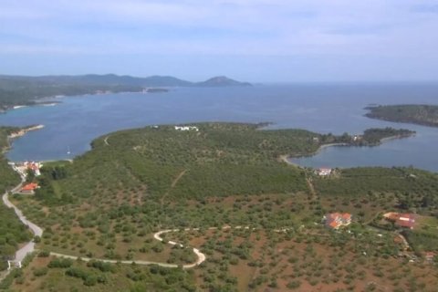23000m² Land in Chalkidiki, Greece No. 57618 4