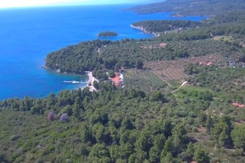 23000m² Land in Chalkidiki, Greece No. 57618 6