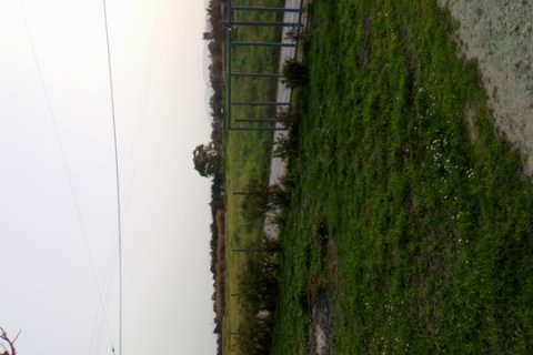 Дом с 4 спальнями в Закинтос, Греция №69605 15