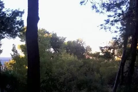 1050m² Land in Markopoulo Mesogaias, Greece No. 54629 3