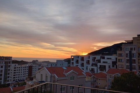 47m² Apartment in Budva, Montenegro No. 104712 6