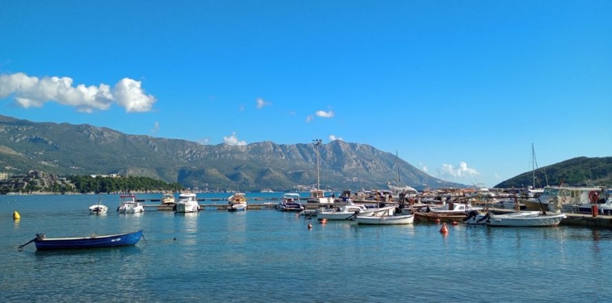 Studio Apartment in Budva, Montenegro No. 104712