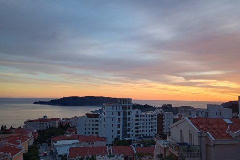 47m² Apartment in Budva, Montenegro No. 104712 7