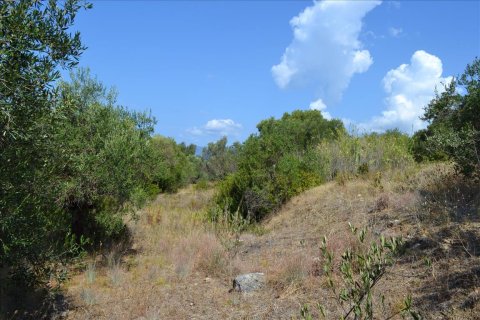 9150m² Land in Corfu, Greece No. 57908 9