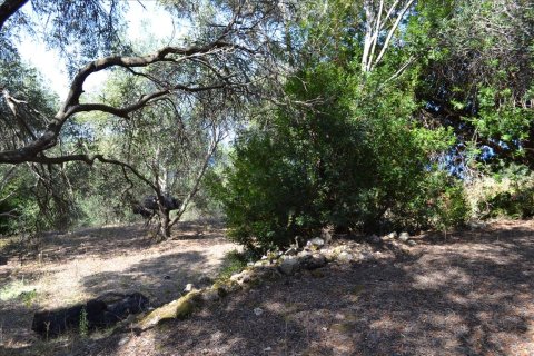 9150m² Land in Corfu, Greece No. 57908 4