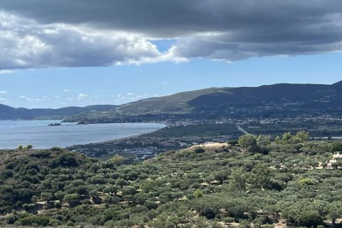 Land in Zakynthos, Greece No. 70913 11
