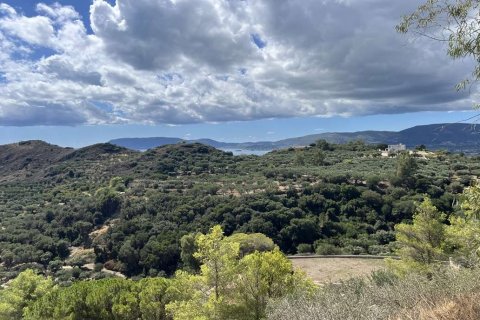 Land in Zakynthos, Greece No. 70913 8